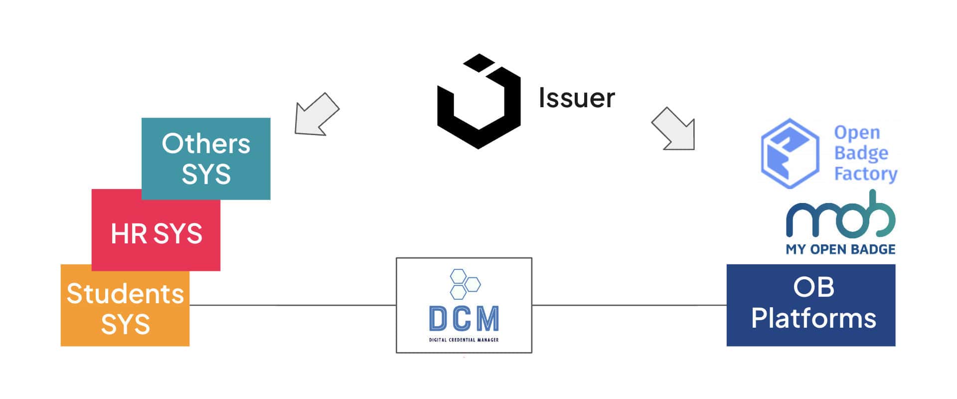 DCM EXM 2